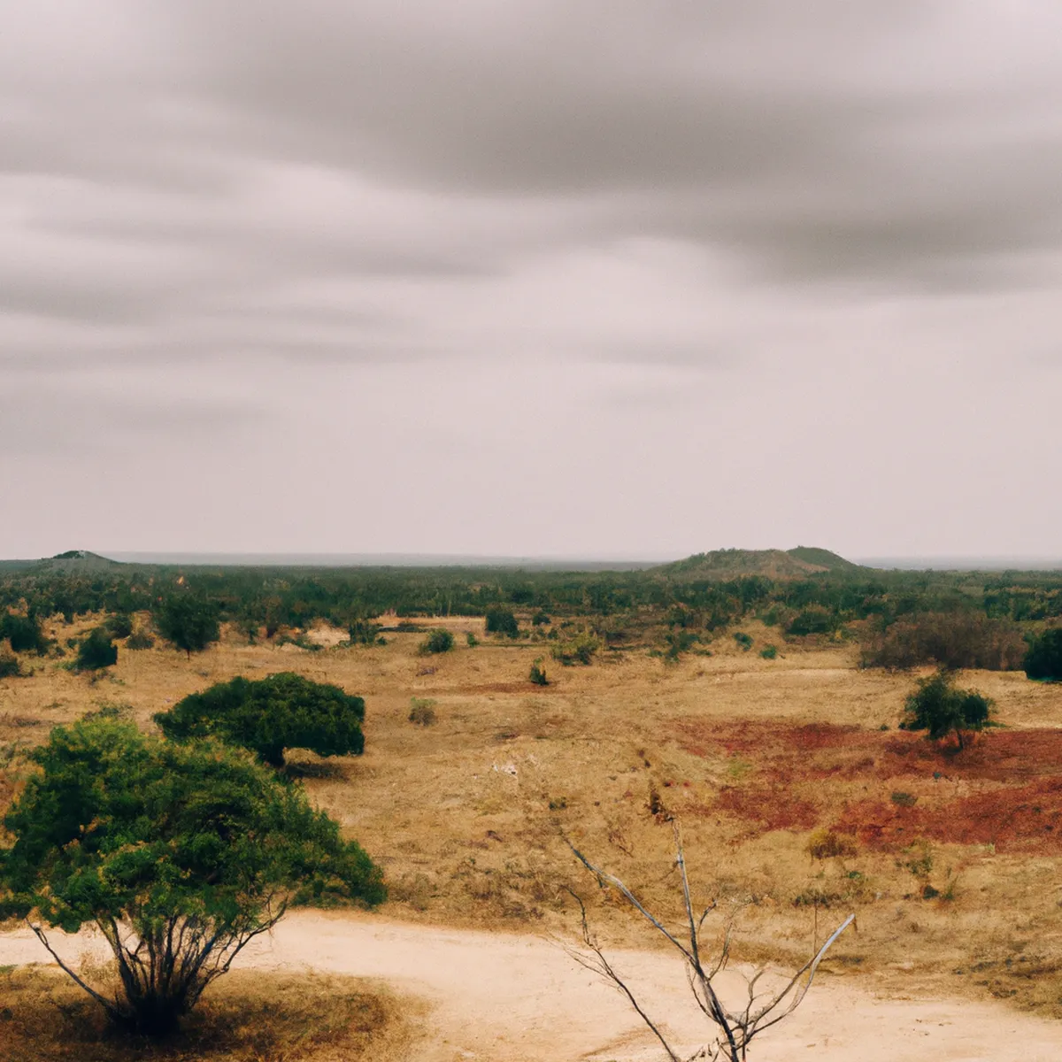 Recursos naturales de Angola 4 1