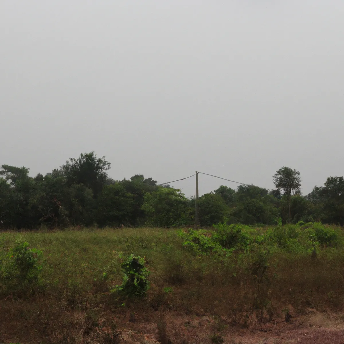 Recursos naturales de Benin 16 1