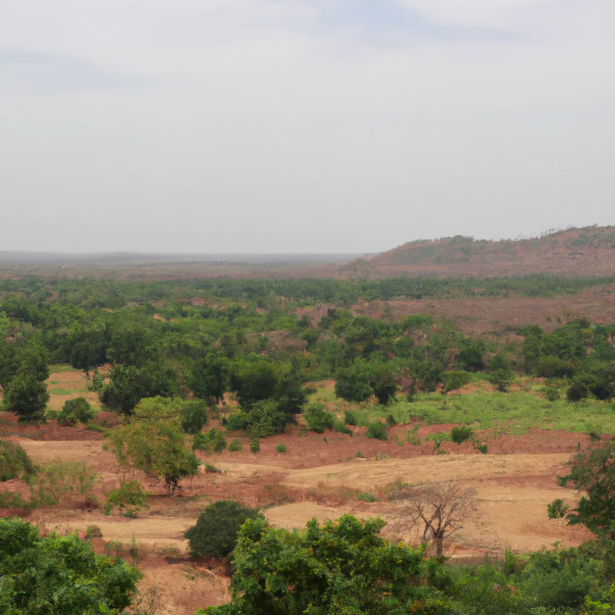 Recursos naturales de Burkina Faso 24 1