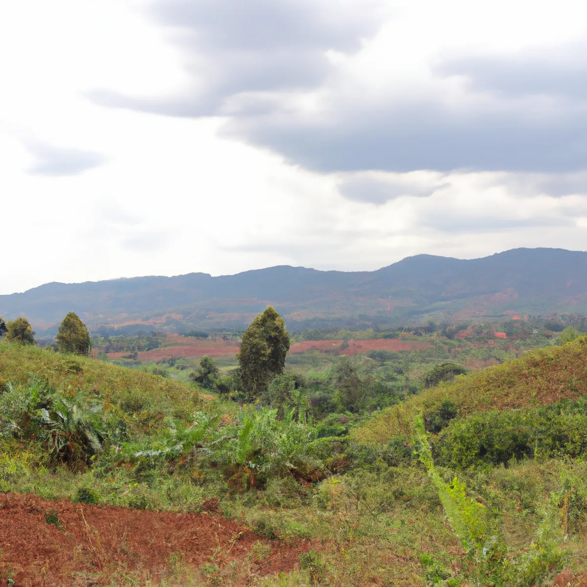 Recursos naturales de Burundi 25 1