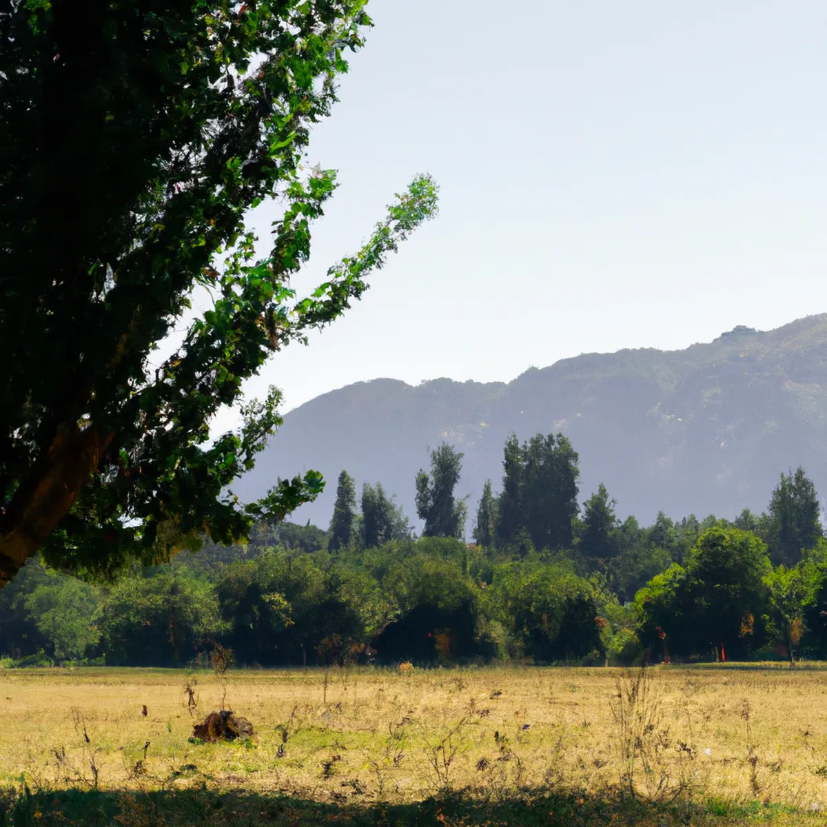 Recursos naturales de Chile 31 1