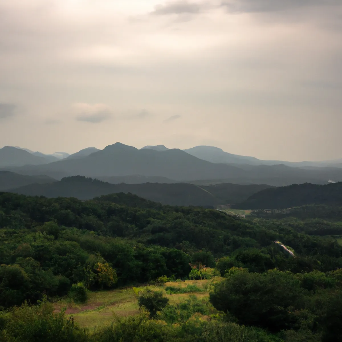 Recursos naturales de Corea del Sur 81 1