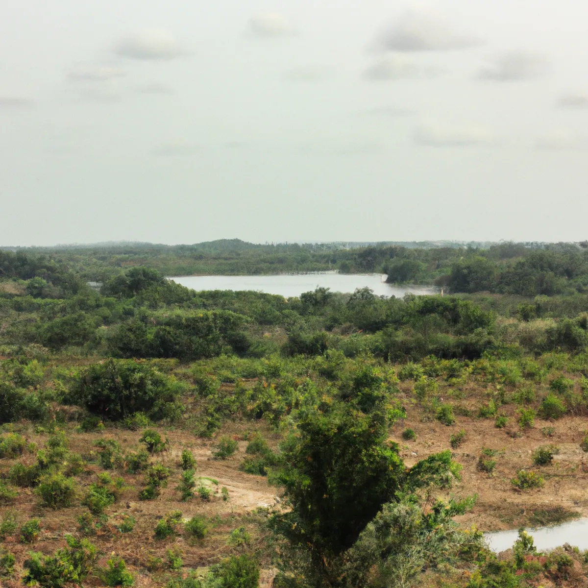 Recursos naturales de Costa de Marfil 36 1