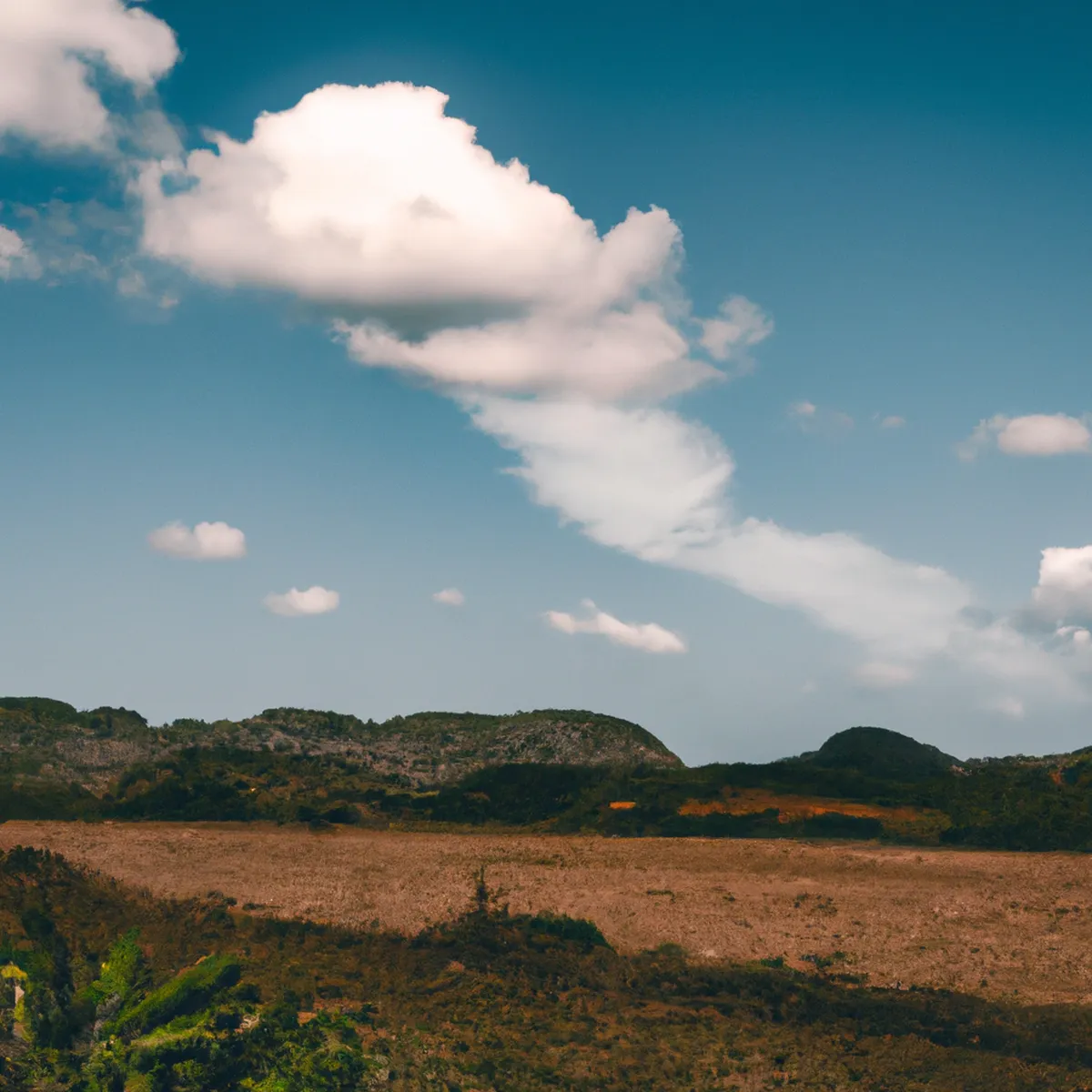 Recursos naturales de Cuba 38 1