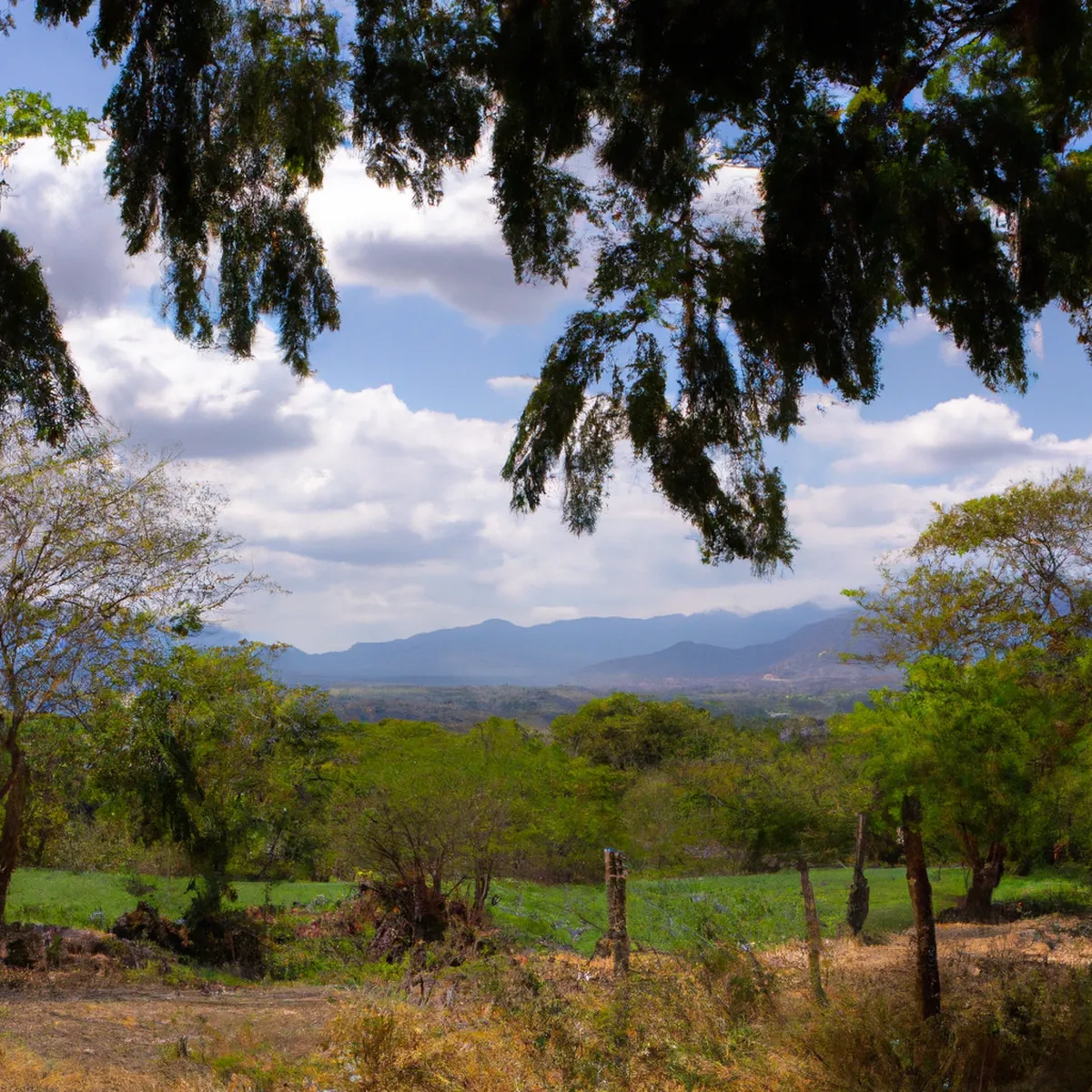 Recursos naturales de El Salvador 47 1