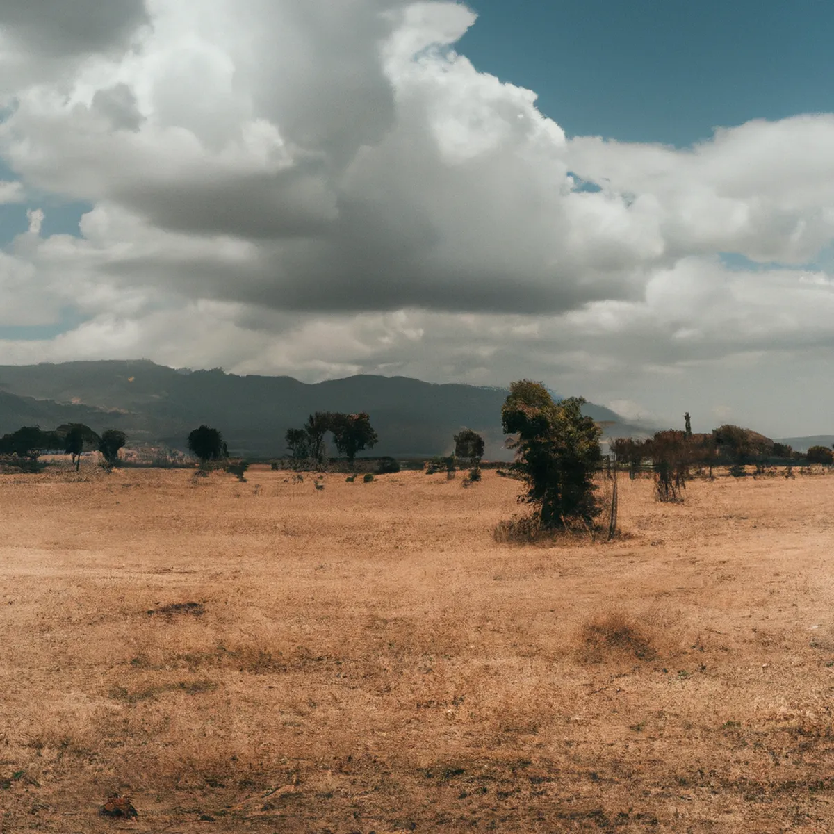 Recursos naturales de Etiopia 51 1