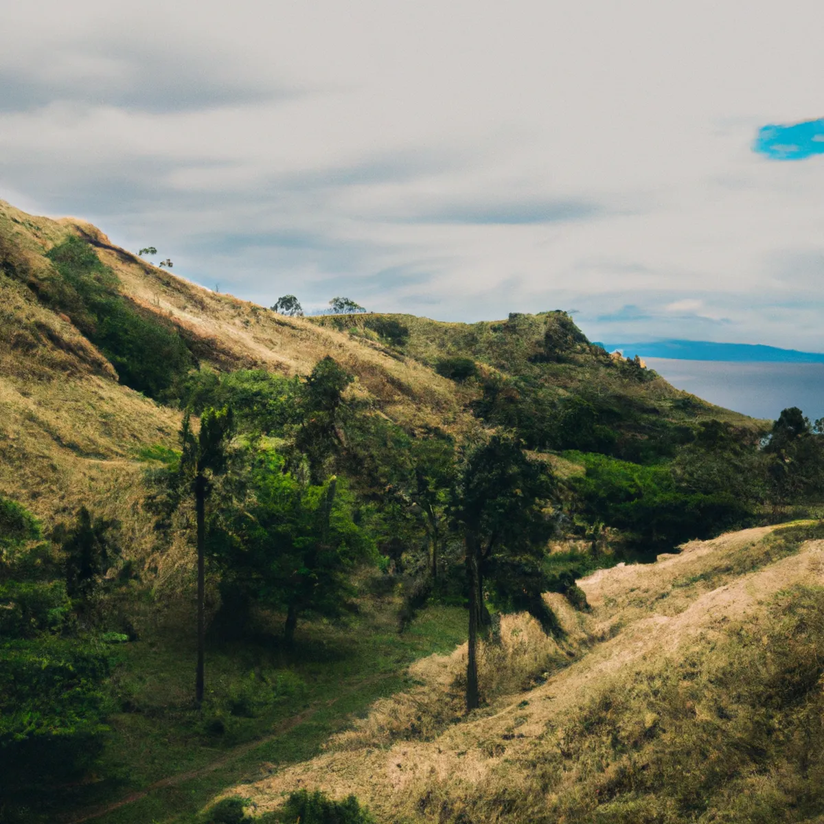 Recursos naturales de Fiji 52 1