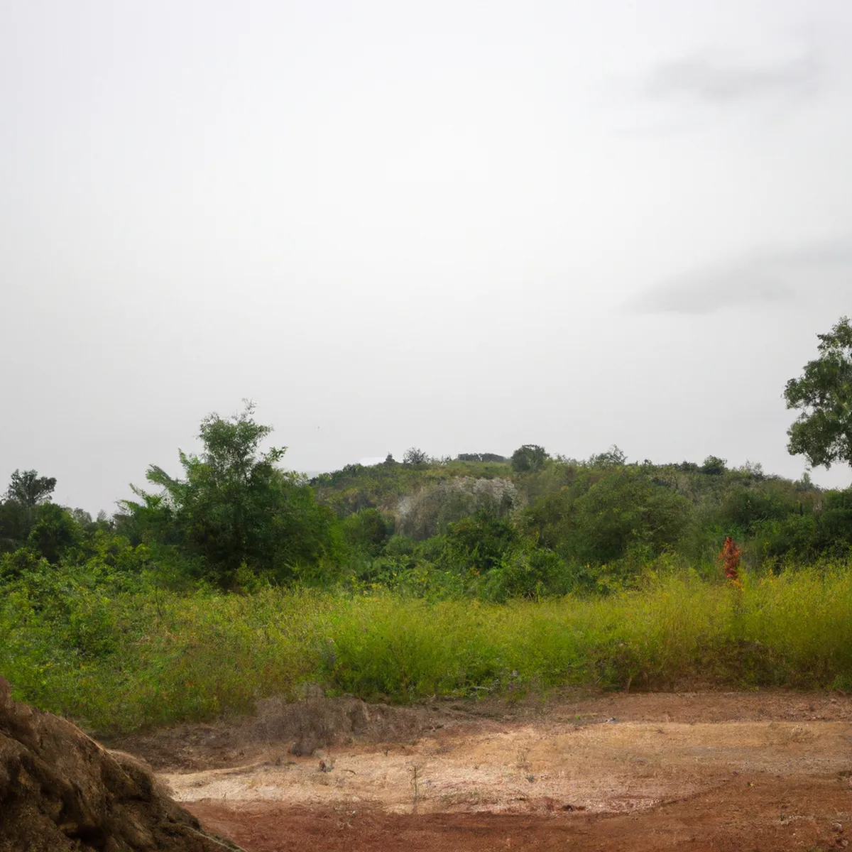 Recursos naturales de Ghana 58 1