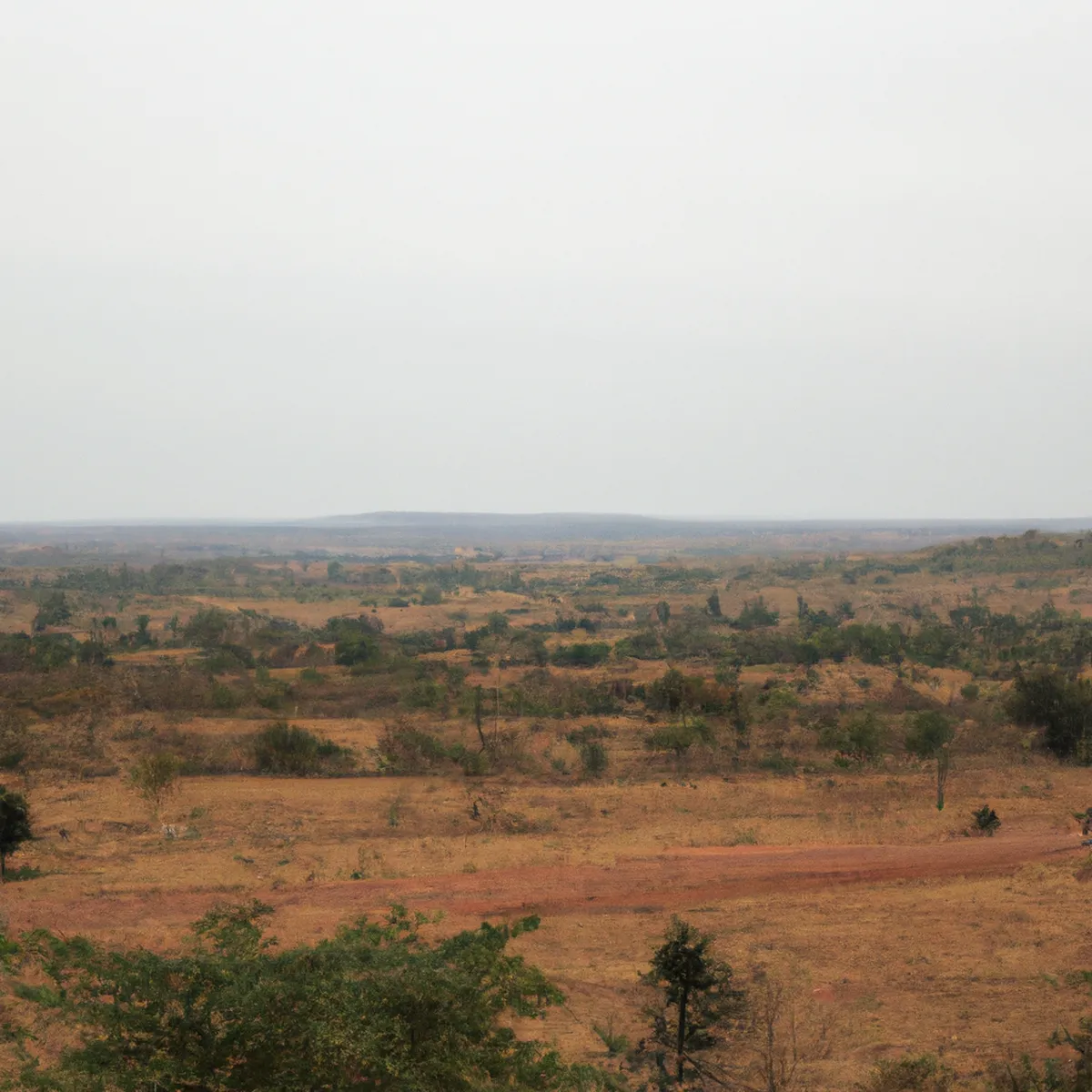 Recursos naturales de Guinea Ecuatorial 48 1