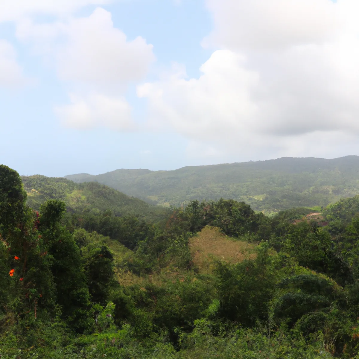 Recursos naturales de Jamaica 75 1