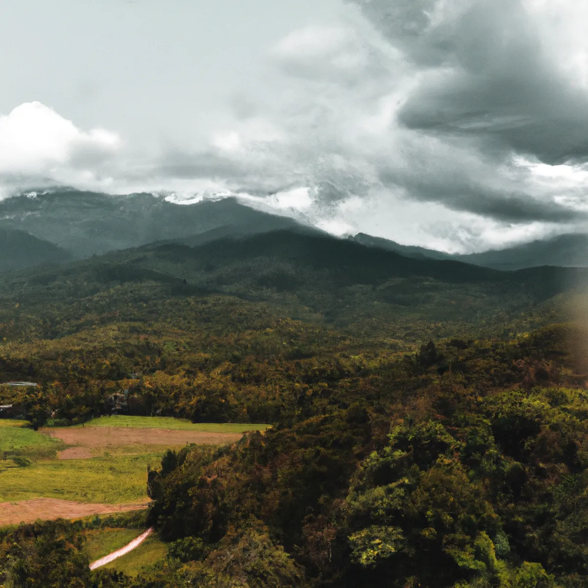 Recursos naturales de Malaysia 94 1