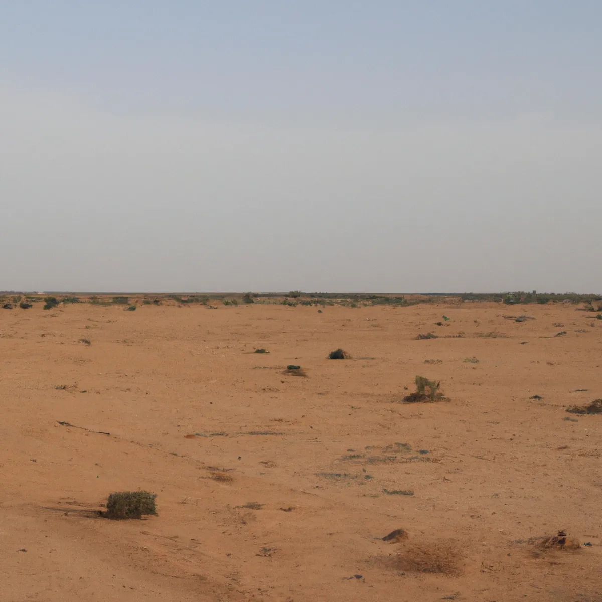 Recursos naturales de Mauritania 98 1