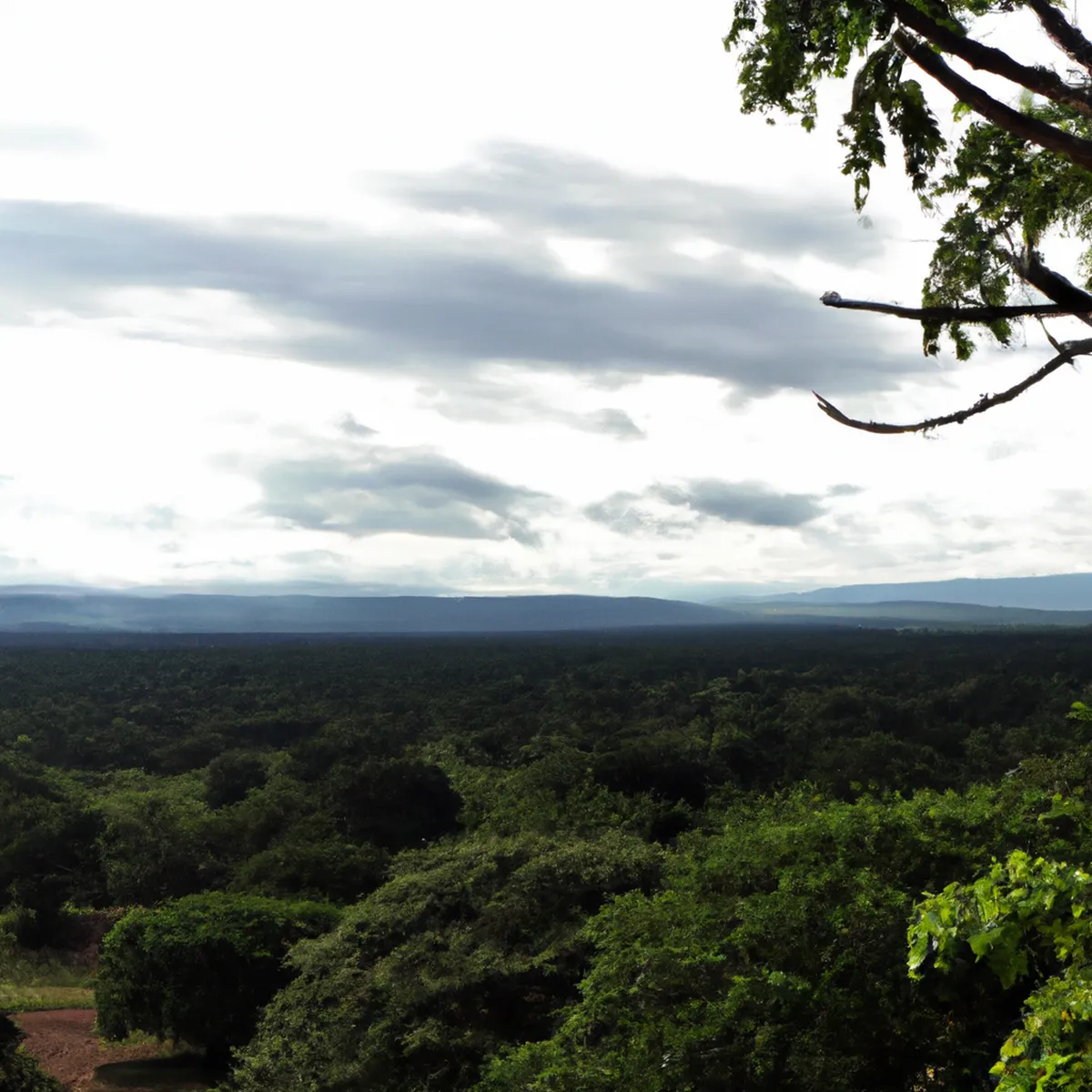 Recursos naturales de Republica Centroafricana 29 1