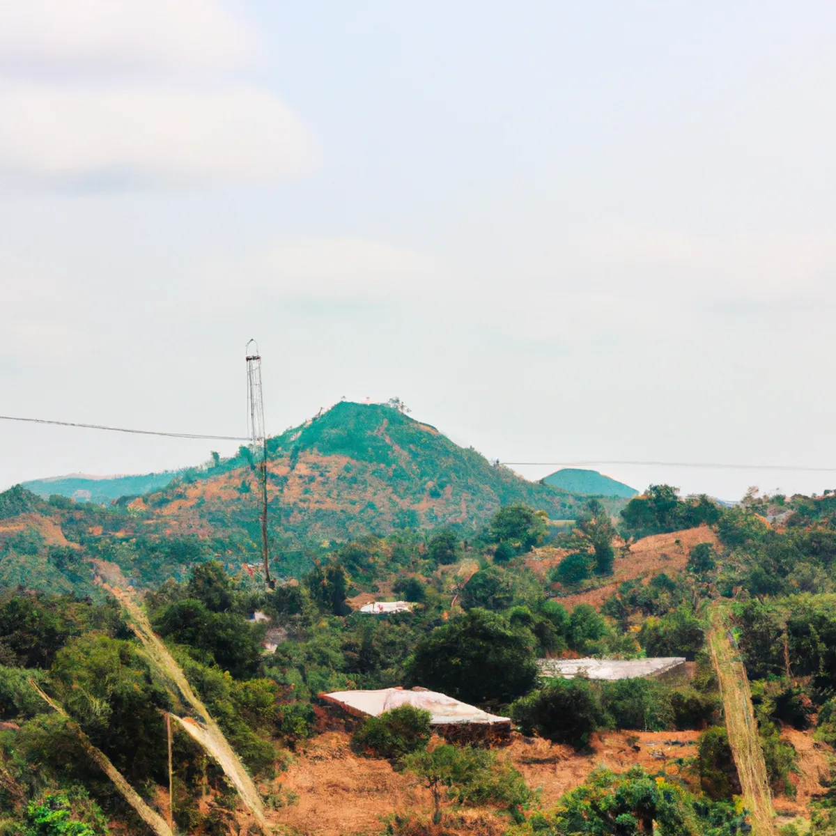 Recursos naturales de Sierra Leona 132 1