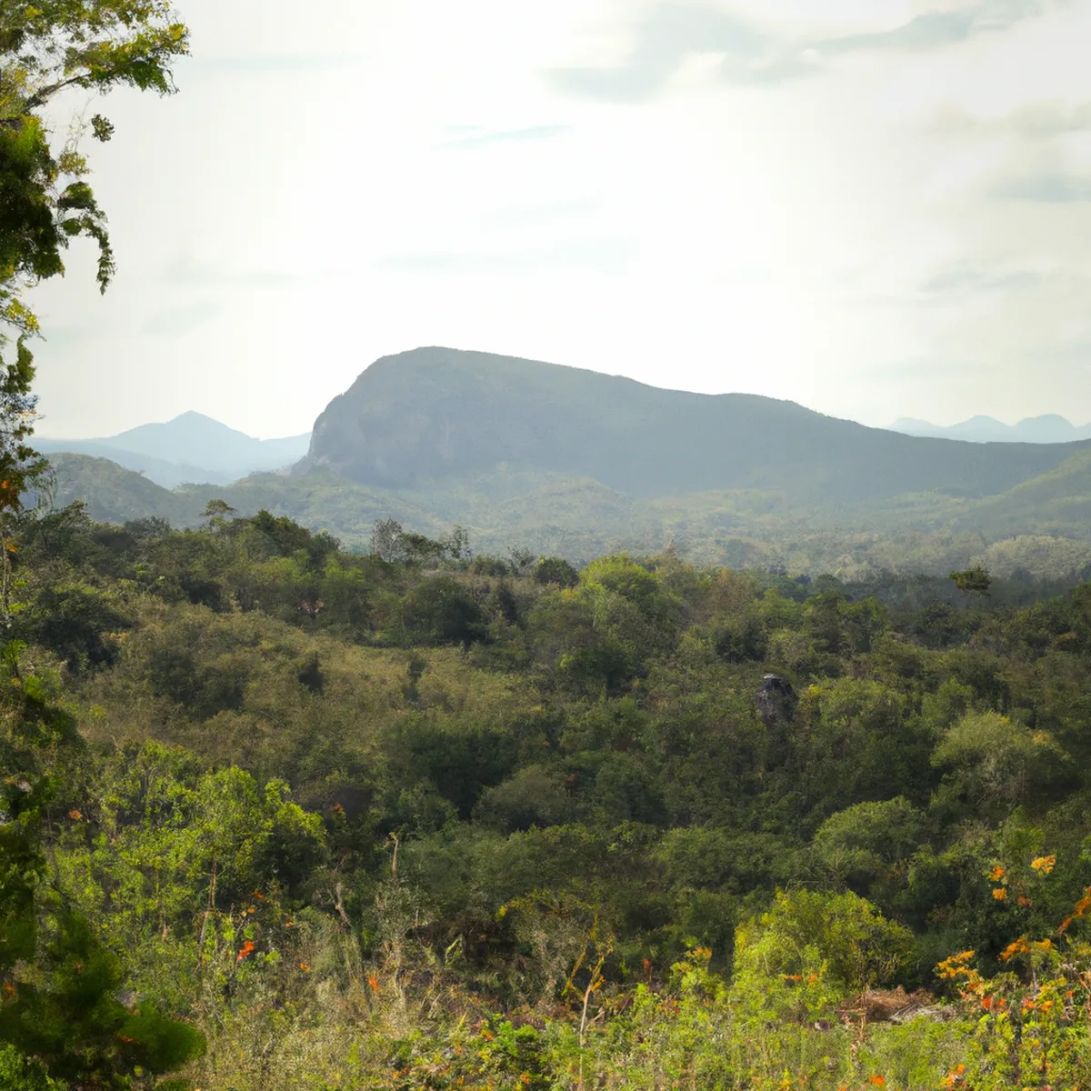 Recursos naturales de Sri Lanka 140 1