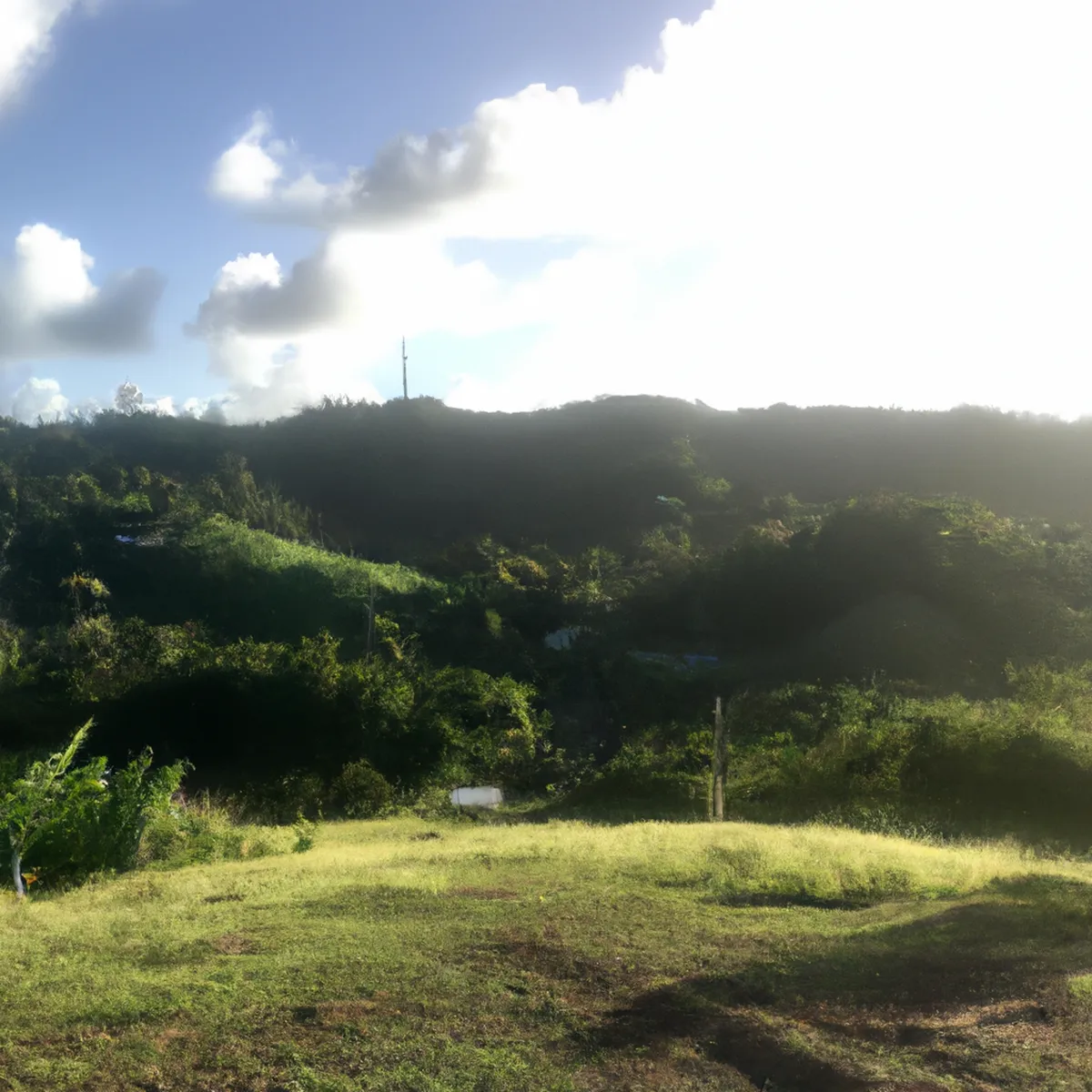 Recursos naturales de Trinidad y Tobago 10 1