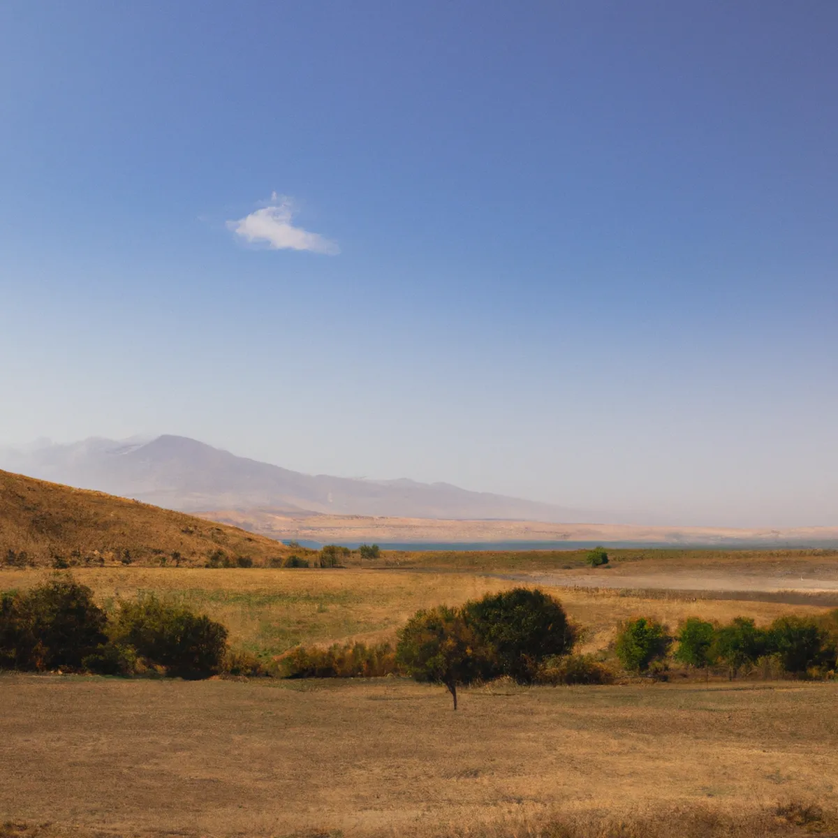 Recursos naturales de Turkmenistan 13 1