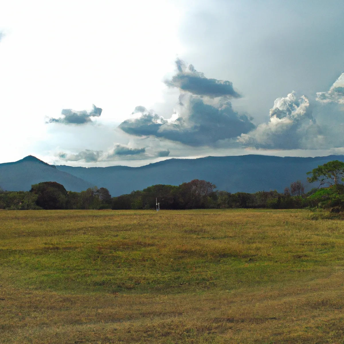 Recursos naturales de Venezuela 22 1