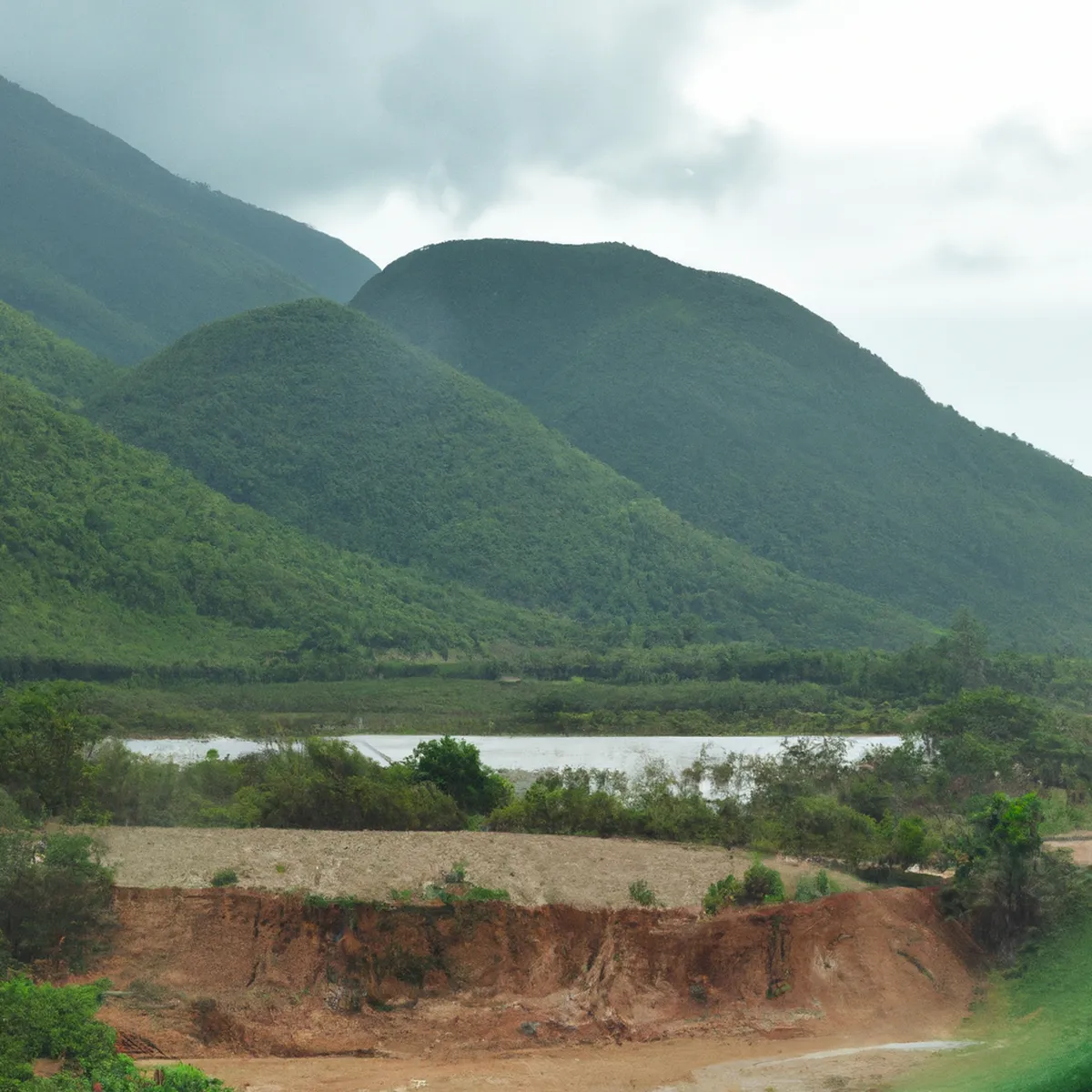 Recursos naturales de Vietnam 23 1